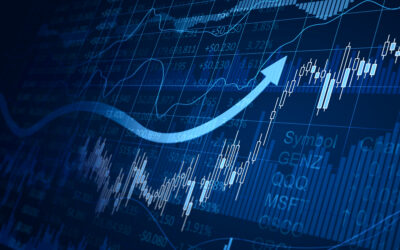 Understanding How Cash Fits Into Your Investment Portfolio